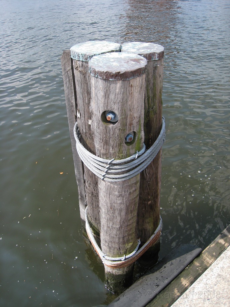 Baltimore MD 2009 0580.jpg - A 4th of July trip to Washington DC in 2009 included a stop in Baltimore MD to see the National Aquarium.